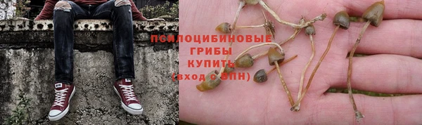 герыч Инта