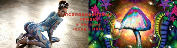 герыч Инта