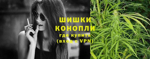 PSILOCYBIN Каменск-Шахтинский